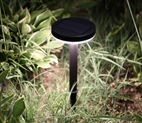 Savia lumière de sécurité solaire étanche éclairage de jardin extérieur lumière de pointe extérieure pour porte d'entrée, cour, chemin, parterres de fleurs