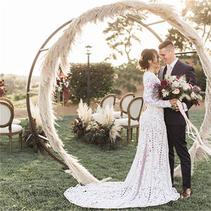 Pampas chauds 50-<span class=keywords><strong>80</strong></span> <span class=keywords><strong>cm</strong></span> blanc rose beige moelleux séché naturel grand herbe de la pampa - Product Image 4