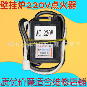 Encendedor de Pulso para Caldera de Gas Hui Geng Hao, 220V, Alto Voltaje, Universal, Doble Cable, para Accesorios de Calentadores de Agua - Product Image 3