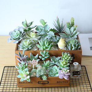 Accesorios de decoración de mesa, plantas artificiales falsas, venta al por mayor, <span class=keywords><strong>Echeveria</strong></span>, otras flores decorativas y plantas - Product Image 6