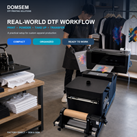 Nouvelle imprimante DTF à plat double tête DOMSEM 30 cm avec têtes d'impression Epson F1080 pour vêtements, autonome ou avec secoueur de poudre