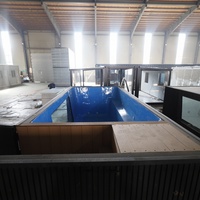 Piscine hors sol en fibre de verre en gros, petite piscine familiale de 20 pieds, accessoires, conteneur, construction de piscine