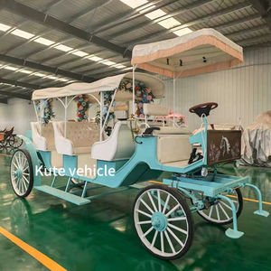 Chariot de réception de mariage, chariot électrique personnalisé pour la visite des sites, avec décoration intérieure sur mesure - Product Image 3