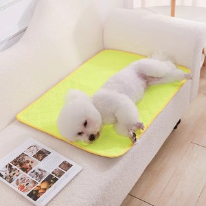 Tapis d'apprentissage personnalisé, réutilisable, lavable, imperméable, antidérapant, hygiénique et respirant en maille pour chiens et chats, imprimé, été - Product Image 3