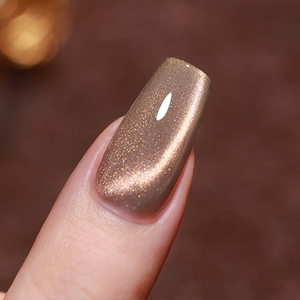 AILANUO Gel de Uñas Ojo de Gato de 9 Colores, Gel de Uñas Ojo de Gato OEM/ODM, Venta al por Mayor para Suministros de Manicura - Product Image 1