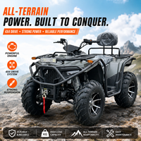 Quad 4 roues tout-terrain à essence Bashan 300cc pour adultes