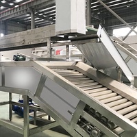 Usine complète de fabrication de sauce tomate |   Machine de remplissage de moulin colloïdal avec bouilloire de cuisson intégrée |   Norme CE