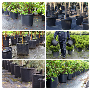Pots en plastique noir de 1 à 25 gallons, vente en gros, moulage par injection, jardinières de pépinière pour pots en plastique de pépinière de jardin - Product Image 6
