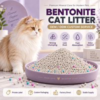 Litière pour chat en bentonite de sodium écologique de qualité supérieure, forme de boule, sans poussière, agglomération rapide, contrôle des odeurs, hautement absorbante, 1 kg, OEM