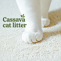 Litière pour chat en manioc blanc en vrac 10 kg, écologique, biodégradable, jetable aux toilettes, agglomération rapide, contrôle des odeurs, hautement absorbante, faible émission de poussière, qualité industrielle