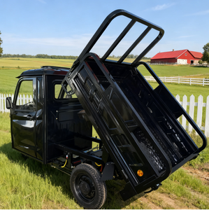 Entrepôt de Roumanie DDP EEC COC 3 roues <span class=keywords><strong>Cargo</strong></span> Bike Grand Space Trike Truck Tricycle électrique avec porte monobloc - Product Image 1