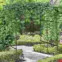 Arche de jardin en acier inoxydable épaissi, imperméable, 7 pieds de haut, pour plantes grimpantes, tunnel pour vigne, respectueux de l'environnement