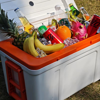 Glacière à roulettes grande capacité 32L 56L, isotherme en PU, avec poignée, maintien au frais 48H pour le camping, la pêche, les camping-cars et les activités de plein air