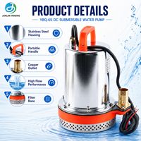 Pompe à eau submersible YBQ-65 12V24V DC pour l'irrigation et le drainage
