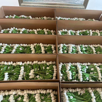Décoration de mariage et de la Saint-Valentin, fleurs artificielles en soie, tulipes jaunes et blanches en forme d'arche