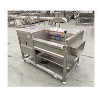 Industrie Cassave Knol Lotus Zaad Dunschiller Fruit En Groente Aardappel Wassen En Schilmachine