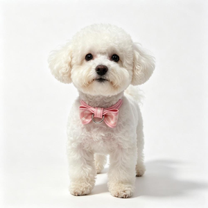Cat Collars Luxury Genuine Leather Designer Cat Collar Bow <b>Tie</b> Pet Accessories Ready Stock - Product Image 3