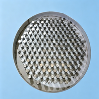 Plateaux de flottaison Pingxiang Dai-Er SS316L (Mo≥2.0%) pour tours de désulfuration et épurateurs OEM Jiangxi Chine