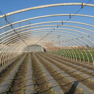 small size high tunnel green house galvanized steel frames used for agriculture