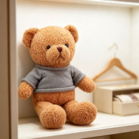 Personalisierte Teddybären mit Kapuzenpullover, Logo-Text, Blanko-Sublimations-Shirts, Bären-Sweater, Spielzeug, Geschenke, OEM, ODM