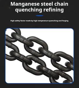 รอกโซ่แบบแมนนวลน้ำหนักเบา<span class=keywords><strong>1</strong></span>ตัน6ตันรอกวัสดุเหล็กคุณภาพสูงจากโรงงานโดยตรง - Product Image 6