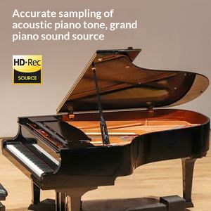 TERENCE TS-02 Clavier de piano numérique pliable 61 touches, best-seller, avec haut-parleur intégré, rechargeable et léger, compatible MIDI - Product Image 3