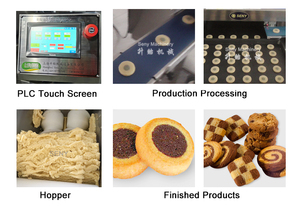 Seny Multi Function Automatic Manufacturer Snack Food Production Line Wire <strong>Cut</strong> <strong>Cookies</strong> Making Machine From Shanghai - Product Image 3
