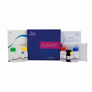 Araştırma kullanımı için Rat <span class=keywords><strong>CRP</strong></span>(<span class=keywords><strong>C</strong></span> reaktif <span class=keywords><strong>Protein</strong></span>) ELISA seti - Product Image 2