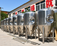 Cuve de fermentation de 500 l en acier inoxydable, fermentateur conique pour la fermentation de la bière