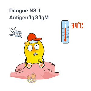 Dengue-Virus NS1-Antigendesektions-Kit, Dengue-Fieber-Selbsttest, Moskitobiss-Infektion Dengue NS1 IgG/IgM-Test