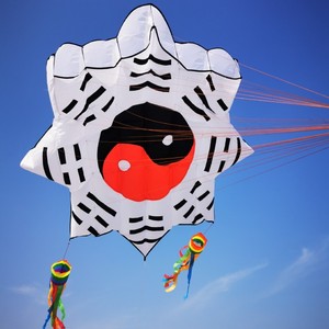 Logiciel de <span class=keywords><strong>cerf</strong></span>-<span class=keywords><strong>volant</strong></span> en nylon de haute qualité résistance au vent et à l'abrasion pour un décollage facile des sports de loisirs en plein air - Product Image 2