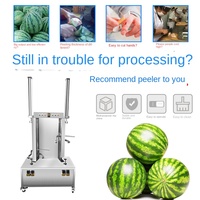 Commerciële multifunctionele 304 roestvrijstalen fruit schil- en snijmachine met PLC voor ananas, pomelo, raap, wintermeloen en watermeloen