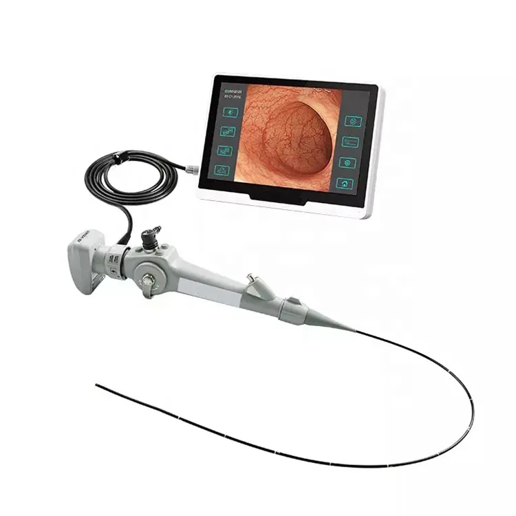 Yueshen endoscópio veterinário flexível, endoscópio de vídeo portátil para uso veterinário, laparoscópio YSVET-EC150H