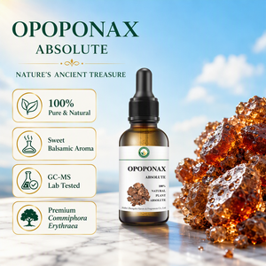 Profesyonel Parfüm Formülasyonu ve Koku Oluşturma için Kaliteli Parfümeri <span class=keywords><strong>Opoponax</strong></span> Absolü (Commiphora Guidottii) - Product Image 3