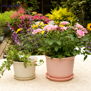 Vasi Moderni Rotondi in Plastica PP <span class=keywords><strong>per</strong></span> Semina, Colore Personalizzabile, <span class=keywords><strong>per</strong></span> Piante Grasse, Talee e Trapianti, Uso Domestico e Giardino - Product Image 2