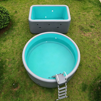 Kommerzieller Tragbarer Faltbarer Drop-Stitch Aufblasbarer Swimmingpool Doppelwandiges PVC Langlebige Umweltfreundliche Spa-Pools für Familiennutzung