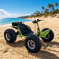 Kart électrique pour adultes 45 km/h, 1800W, batterie lithium 48V, kart de course tout-terrain 4 roues, buggy de plage, démarrage par clé
