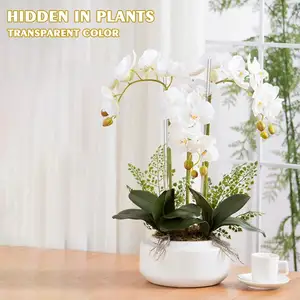 15.6 inç akrilik bitki Stakes bahçe Stakes temizle orkide Stakes temizle bitki Sticks kafes