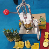Automatische Ananas Dunschiller Machine De Decoupe