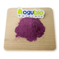 Natuurlijk Acai-bessenpoeder