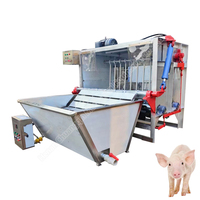 Mini abattoir pour porcs, équipement d'élevage, machine agricole pour l'élimination des poils de porc