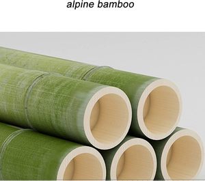 Tre hiện đại Giày băng ghế dự bị bằng gỗ khởi động lưu trữ Kệ tổ chức cho nhà lối vào hành lang và phòng khách - Product Image 6