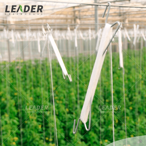 Gancio a M in acciaio zincato per supporto <span class=keywords><strong>pomodori</strong></span>, riutilizzabile, per serra agricola a tunnel, per semina, con spago in PP da 6m - Product Image 5