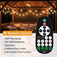 Contrôleur de variateur LED sans fil RF avec fonction de réglage de la luminosité et de la minuterie IP65 pour guirlande lumineuse