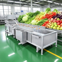 Automatische commerciële roestvrijstalen voedselverwerkingsapparatuur voor het bubbelenwassen van verse fruit en groenten