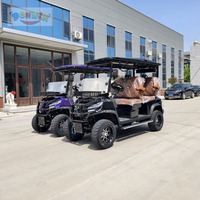 Voiturette de golf électrique compacte Donwin 48V/60V/72V 3-4 places 50 km/h Freins à disque avant/arrière Certifiée CE/EEC Aluminium Étroit