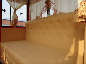 Carruaje de Caballos para Pasajeros a Precio Competitivo en Venta/Carruaje de Caballos Eléctrico para Bodas/Carroza de Caballos para Novia - Product Image 5