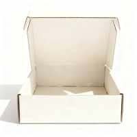 Petites boîtes en carton ondulé personnalisées pour vernis à ongles huile soins de la peau sérum cadeaux Premium impression couleur unie envoi postal personnalisé