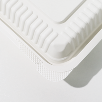 Contenants alimentaires jetables en amidon de maïs biodégradable sans PFAS, 600 ml, 7x5 pouces, compatibles micro-ondes, avec couvercle, pour la maison, les restaurants, les bars et les hôtels