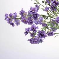 Nouvelle Arrivée - Fleur Artificielle en Soie Faite à la Main, Style Européen, Petit Delphinium Ajacis, Toucher Réel, pour Remise de Diplôme, Mariage, Bar, Salon